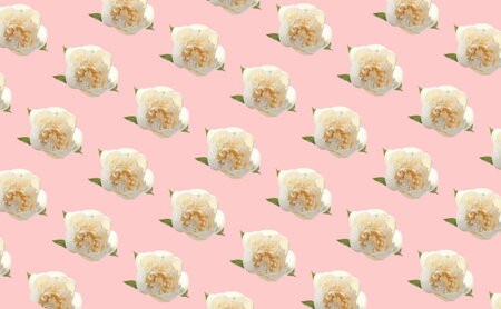 Many beautiful peony flowers on color backgroundの写真素材