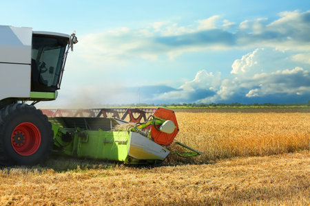 Combine harvester in wheat field