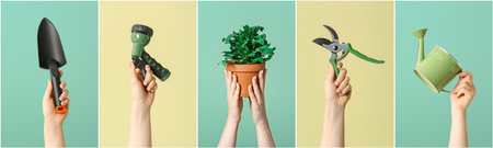 Female hands with gardening tools and houseplant on color backgroundの写真素材