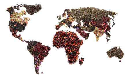 World map made of dry tea on white background
