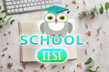 Drawn owl with text School test, notebook and computer keyboard on light background