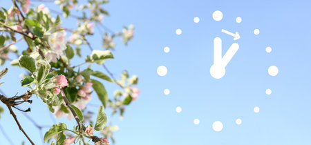 Blossoming tree branches with digital clock. Concept of time change
