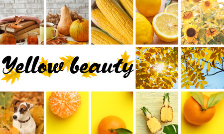 Collage of bright photos with text YELLOW BEAUTYの写真素材