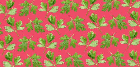 Fresh parsley on color background