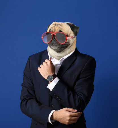 Stylish man with head of dog on color backgroundの写真素材