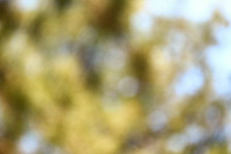 Blurred natural backgroundの写真素材