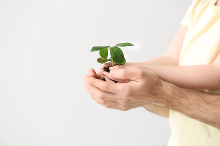 Man and girl with young plant on light backgroundの写真素材