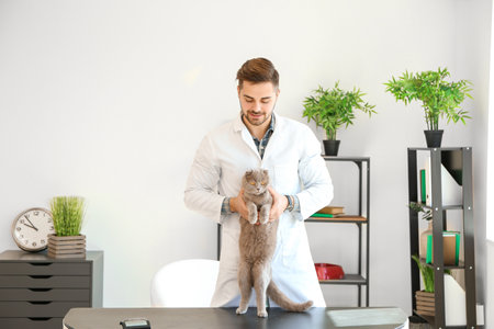Veterinarian with cute cat in clinicの写真素材