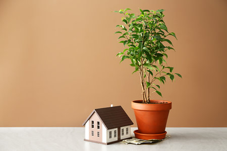 Plant, money and figure of house on tableの写真素材