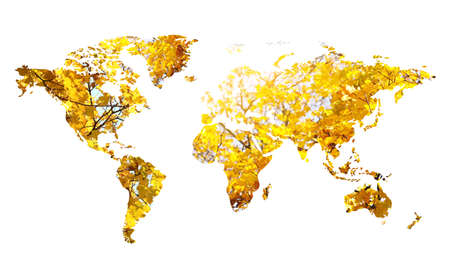 World map made of yellow leaves on white backgroundの写真素材
