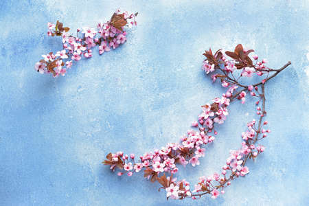 Beautiful blossoming branches on color background