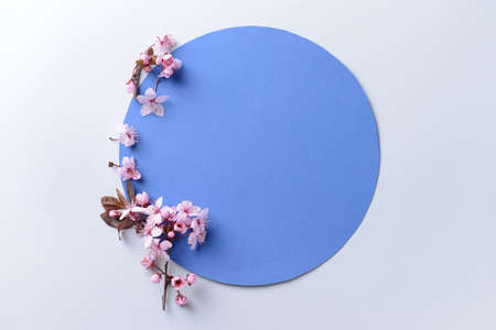 Paper circle and beautiful blossoming branches on light backgroundの写真素材