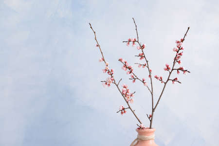 Vase with beautiful blossoming branches on color backgroundの写真素材