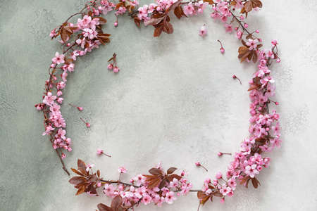 Frame made of beautiful blossoming branches on light background