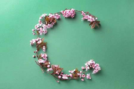Composition with beautiful blossoming branches on color background