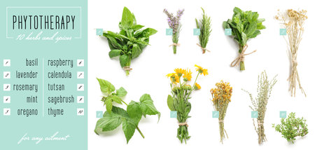Different healthy herbs on white backgroundの写真素材