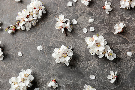 Beautiful flowers and petals on gray backgroundの写真素材