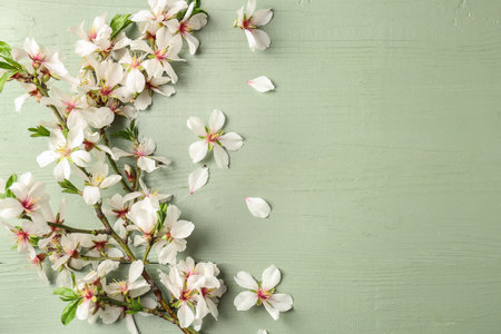 Beautiful blossoming branches on wooden background