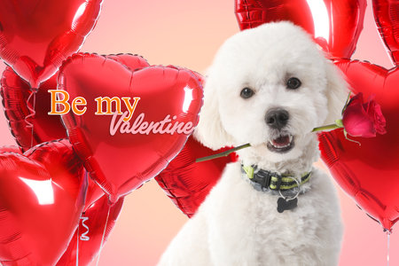 Beautiful greeting card with funny dog for Valentine's Day celebrationの写真素材