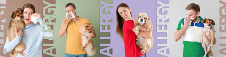 Collage of young people suffering from pet allergy on color backgroundの写真素材