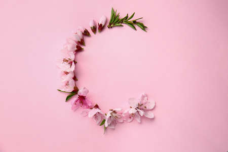 Composition with beautiful blooming branches on color backgroundの写真素材