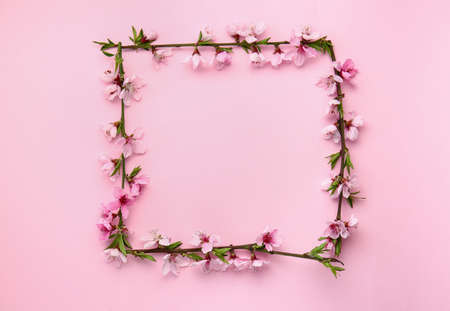 Frame made of beautiful blooming branches on color backgroundの写真素材