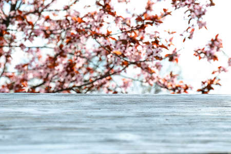 Wooden table in beautiful garden on spring day