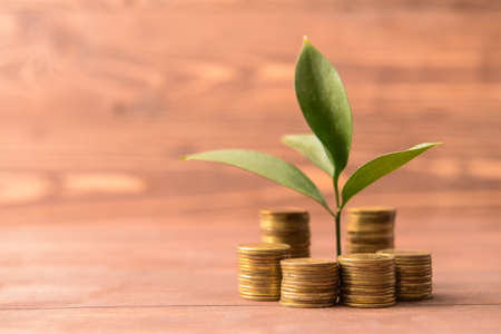 Coins with growing plant on wooden table. Money savings concept