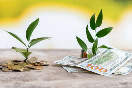 Coins and banknotes with growing plants on table. Money savings conceptの写真素材