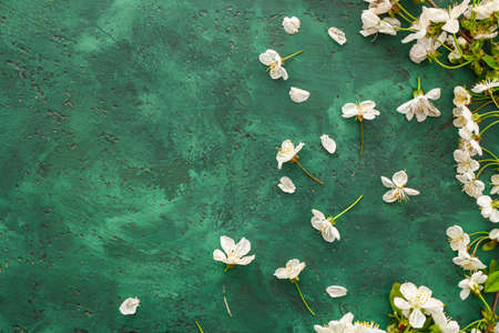 Beautiful flowers on color backgroundの写真素材