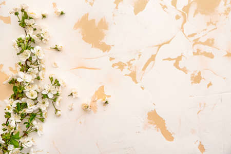 Beautiful blooming branches on light background