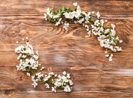 Beautiful blooming branches on wooden backgroundの写真素材