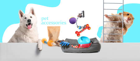 Advertisement banner for pet accessories with dog and hamsterの写真素材