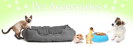 Advertisement banner for pet accessories with different animalsの写真素材