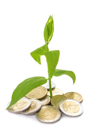 Coins with growing plant on white background. Money savings conceptの写真素材