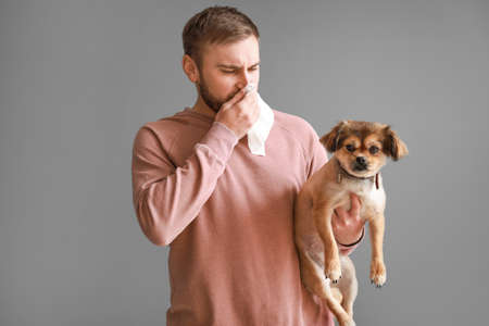 Man suffering from pet allergy on gray background