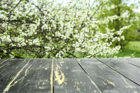 Wooden table in beautiful garden on spring day