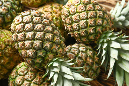 Many juicy ripe pineapples, closeup