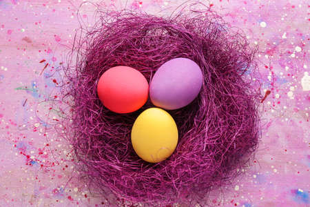 Nest with beautiful Easter eggs on color background