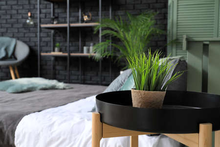 Houseplant on table in modern bedroomの写真素材