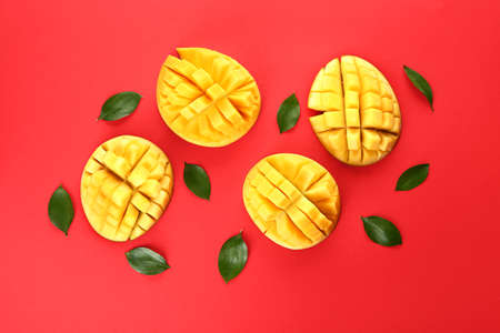 Cut fresh mango on color backgroundの写真素材