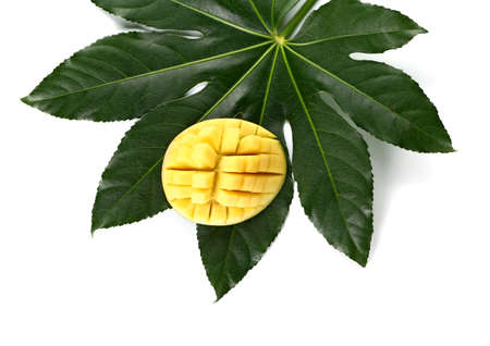 Tasty fresh mango with tropical leaf on white backgroundの写真素材