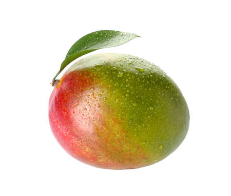 Tasty fresh mango on white backgroundの写真素材