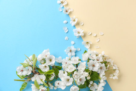 Beautiful flowers of fruit tree on color backgroundの写真素材