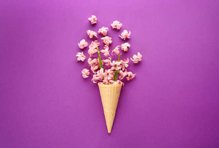 Waffle cone and beautiful hyacinth flowers on color backgroundの写真素材