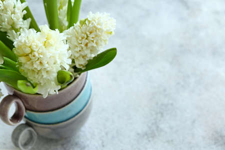 Cups with beautiful hyacinth flowers on tableの写真素材