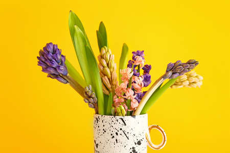 Beautiful hyacinth flowers in cup on color backgroundの写真素材