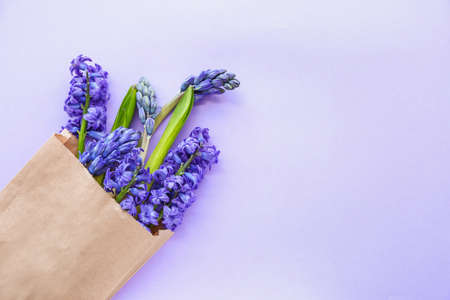 Bag with beautiful hyacinth flowers on color background