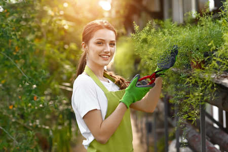 Beautiful female gardener working in greenhouse