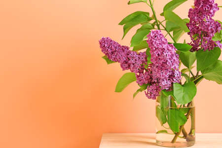 Beautiful lilac flowers in vase on table against color background